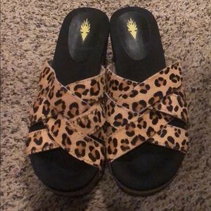 Volatile wedges leopard print